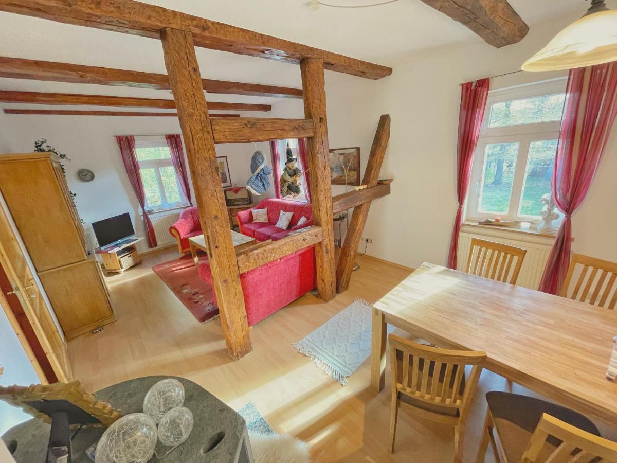 Altes Forsthaus Im Harz Apartment Elbingerode (Saxony-Anhalt)