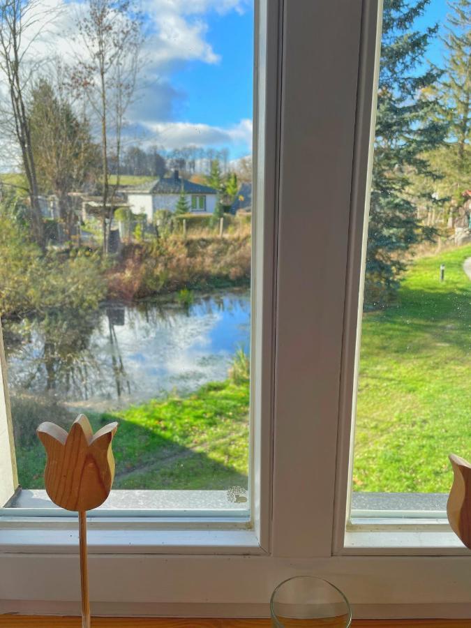 Altes Forsthaus Im Harz Apartment Elbingerode (Saxony-Anhalt)