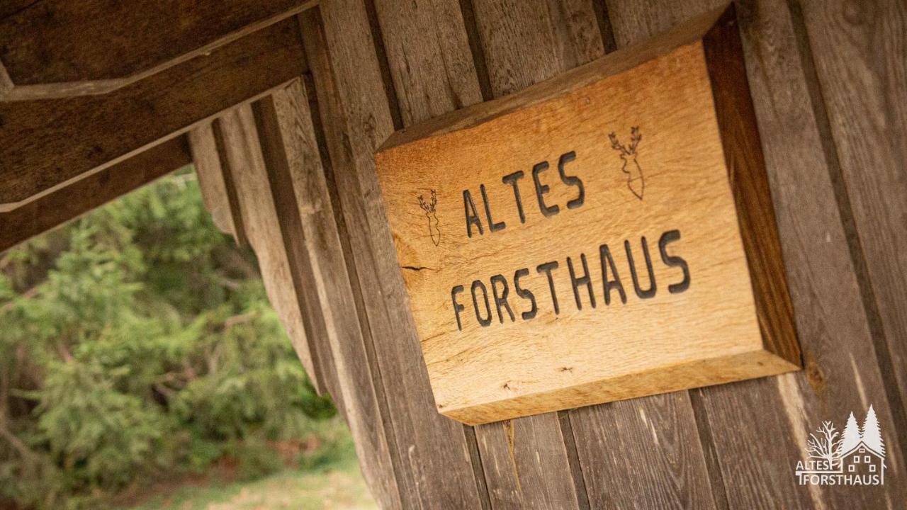 Apartment Altes Forsthaus Im Harz Elbingerode (Saxony-Anhalt)